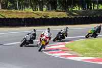 brands-hatch-photographs;brands-no-limits-trackday;cadwell-trackday-photographs;enduro-digital-images;event-digital-images;eventdigitalimages;no-limits-trackdays;peter-wileman-photography;racing-digital-images;trackday-digital-images;trackday-photos